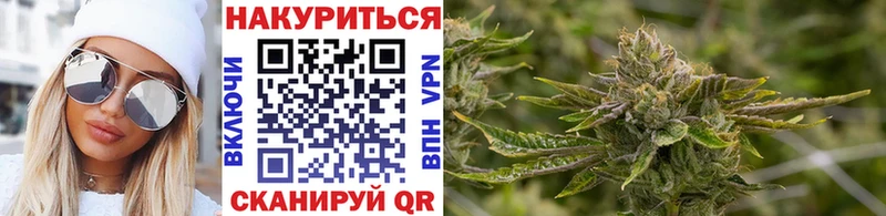 Марихуана сатива Собинка